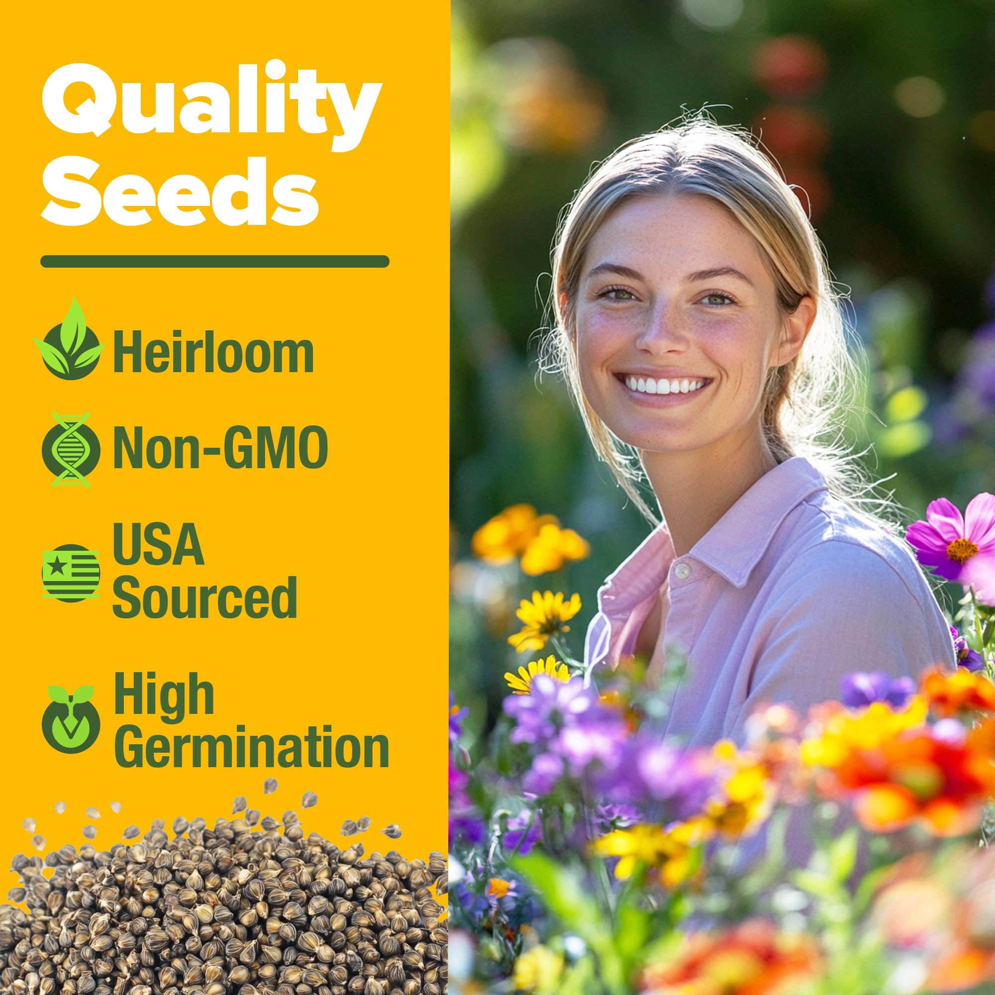 HOME GROWN Wildflower Seeds Mix African Daisy introduces vibrant color for sunny beds.