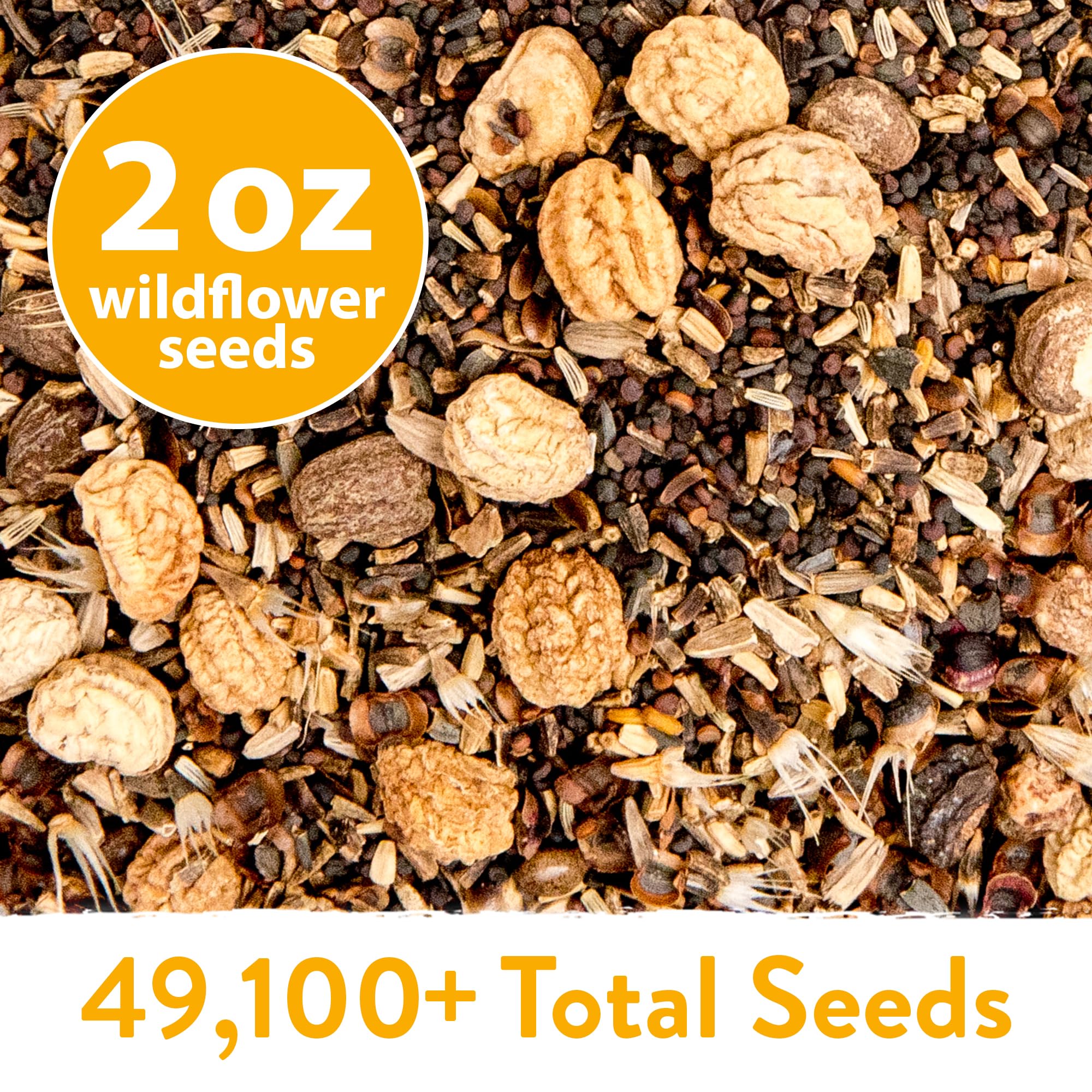 HOME GROWN Wildflower Seeds Mix Bachelor Button delivers classic pops for cottage gardens.