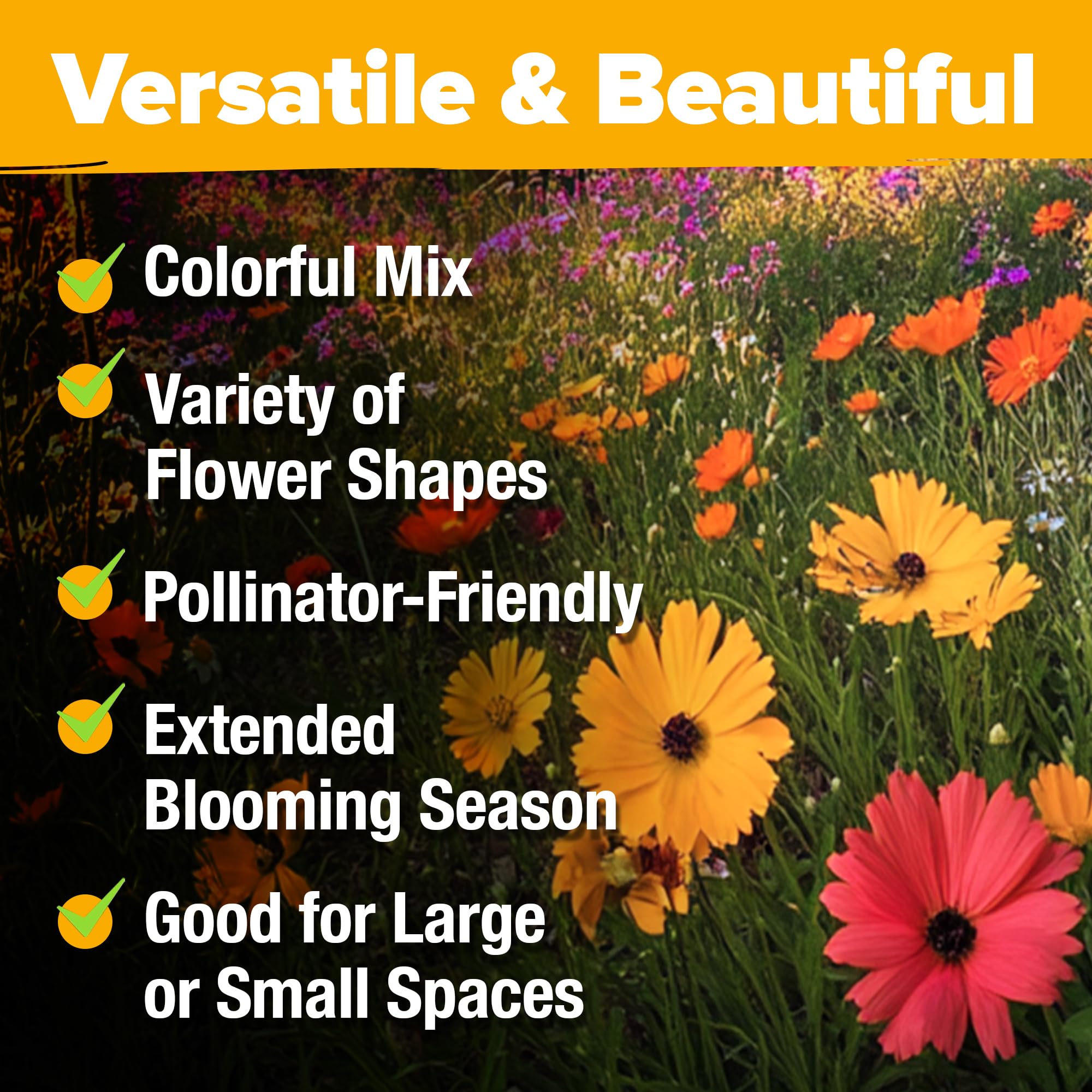HOME GROWN Wildflower Seeds Mix Lupine adds tall spires and vibrant hues.