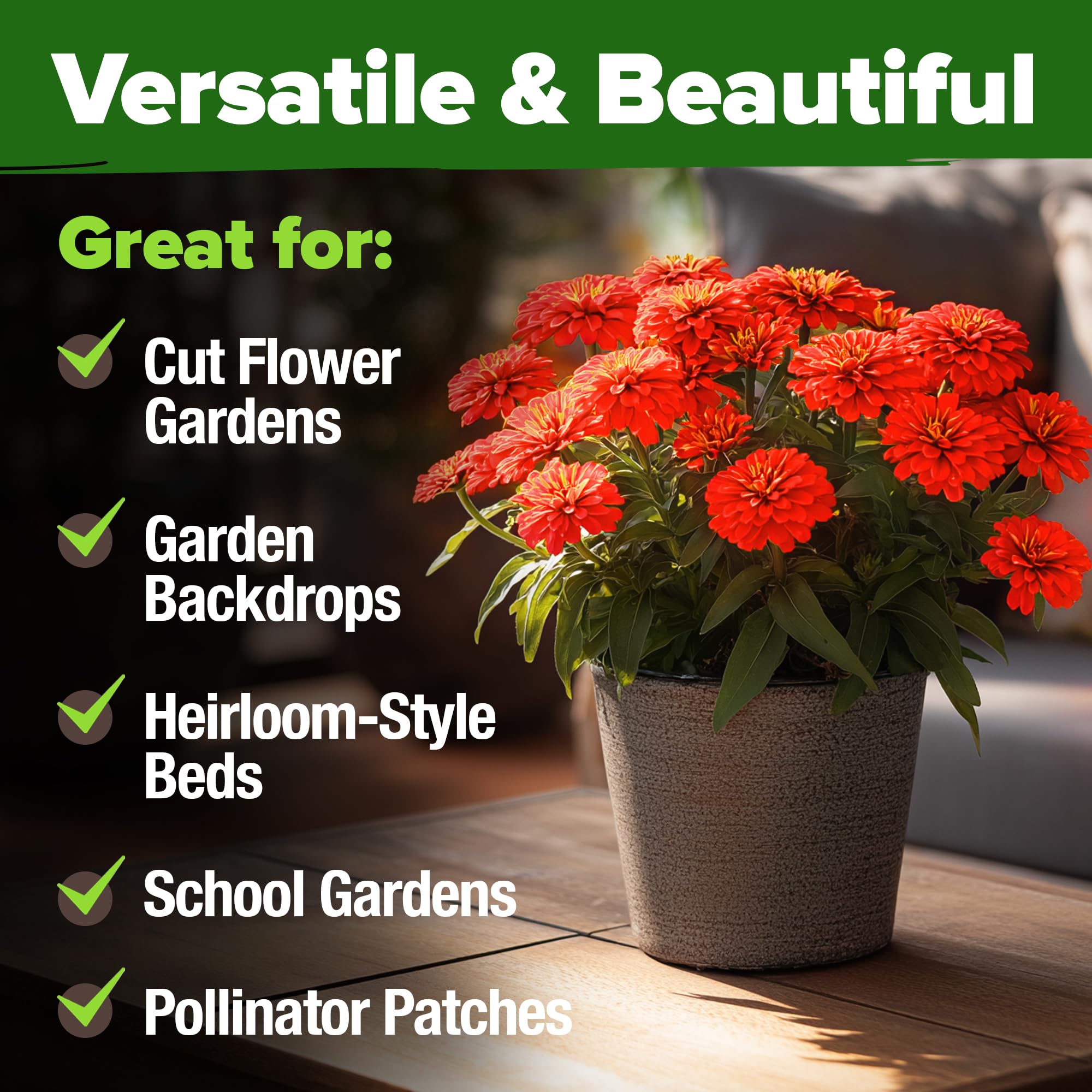 HOME GROWN Will Rogers zinnia attracts butterflies in pollinator-friendly gardens.