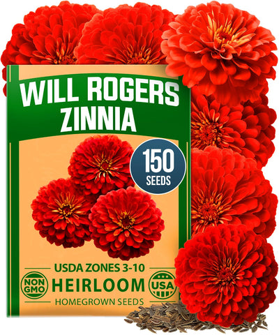 HOME GROWN Will Rogers zinnia seeds for giant scarlet blooms perfect for bouquets.