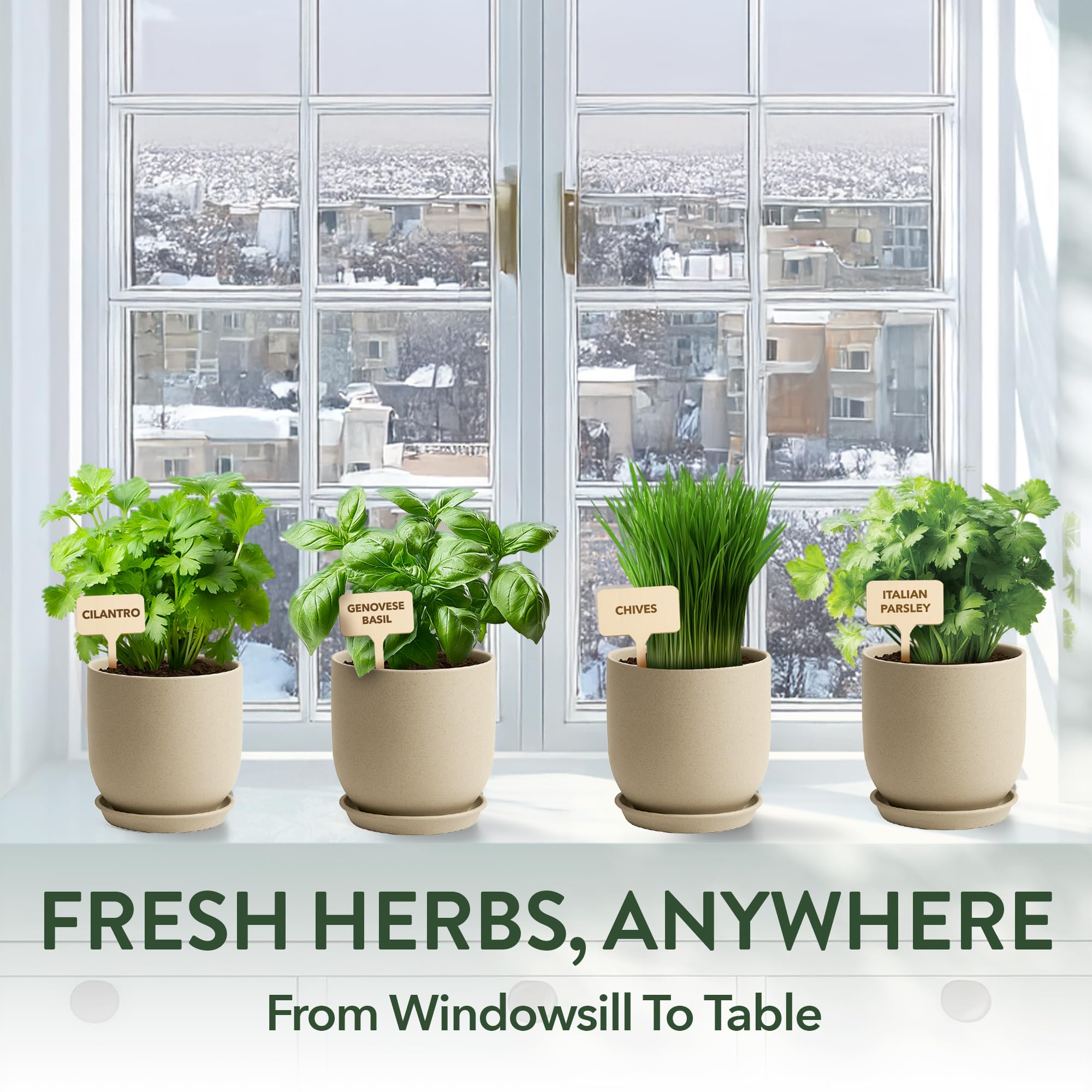 HOME GROWN Windowsill garden setup enables year-round harvests.