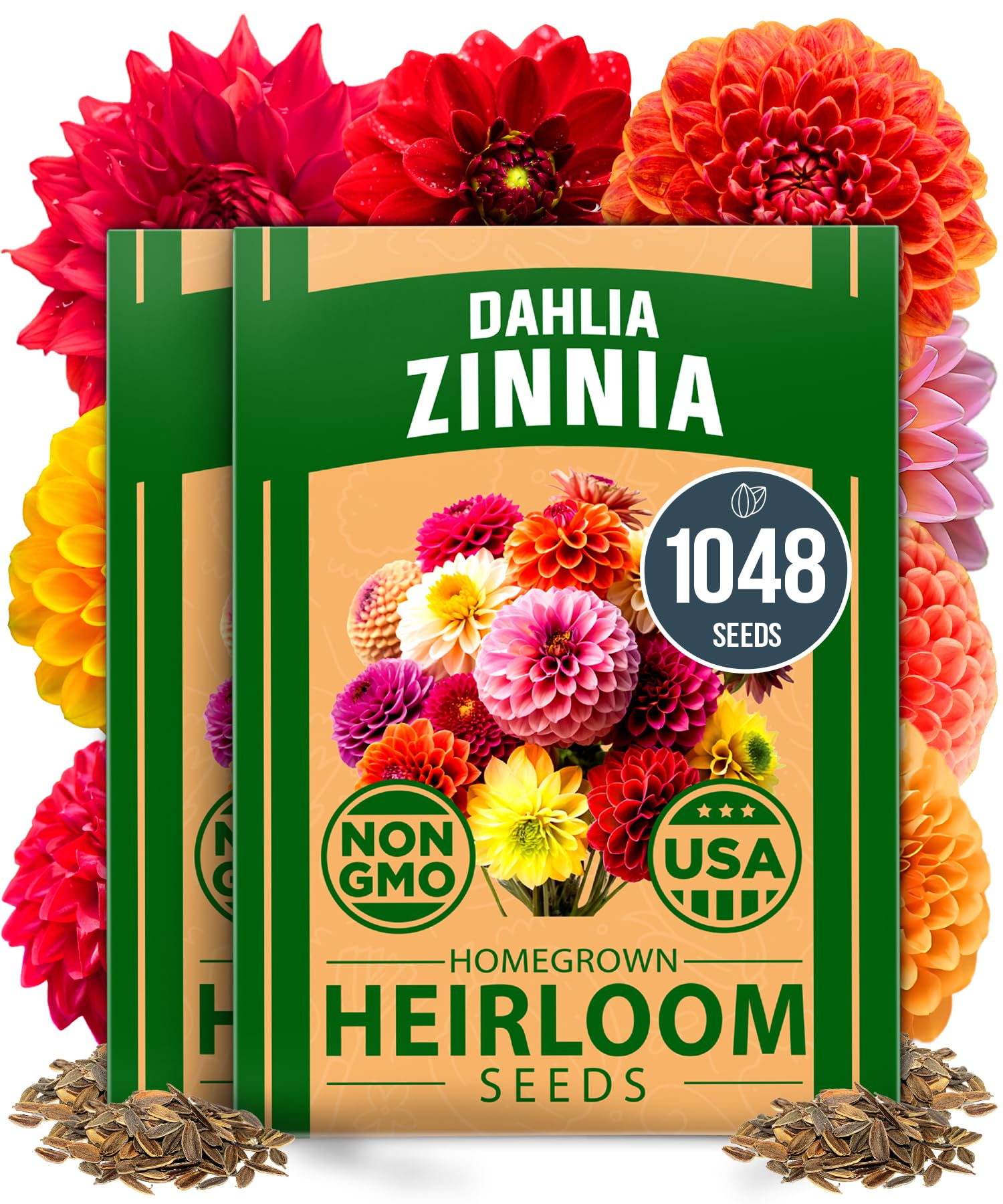 Home Grown Zinnia Dahlia bloom close-up—vivid color ideal for cut flower arrangements.