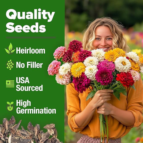 Home Grown Zinnia Dahlia color mix—varied shades for borders and containers.