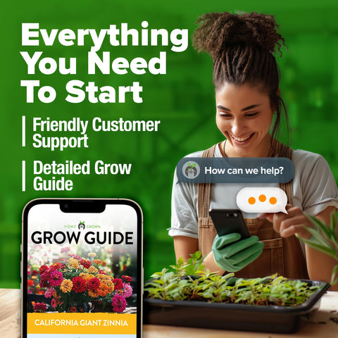 HOME GROWN zinnia seeds germinating indoors in 7–10 days.