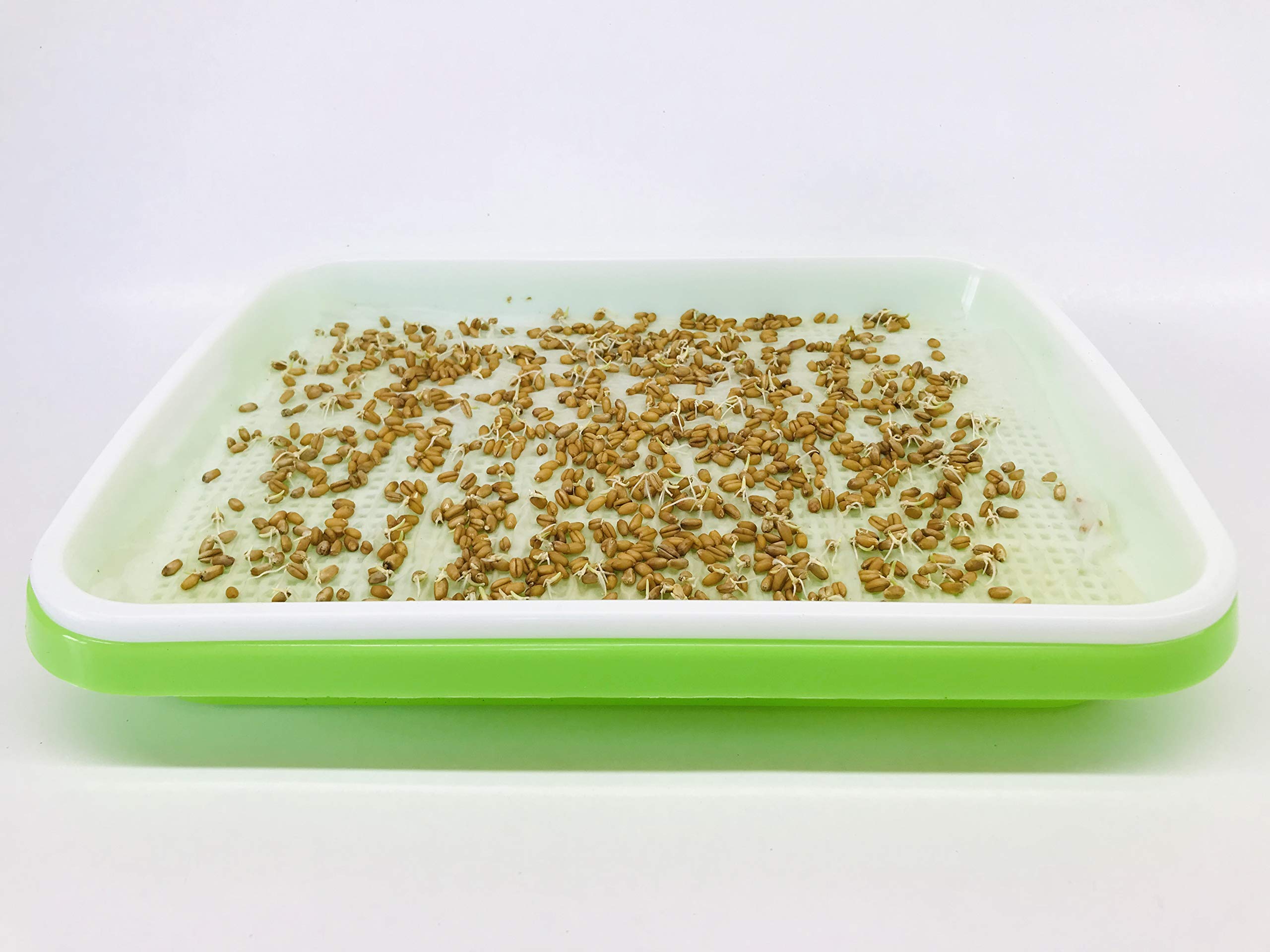 Home Microgreen sheet size on tray shows 7.8 by 11.4 inches for standard trays.