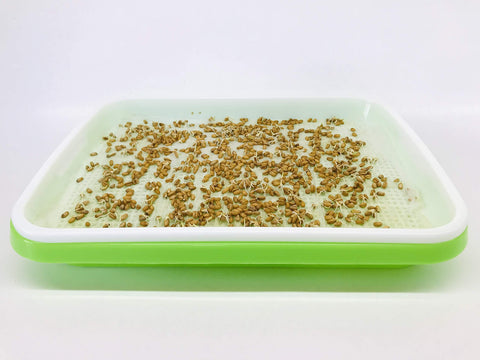 Home Microgreen sheet size on tray shows 7.8 by 11.4 inches for standard trays.