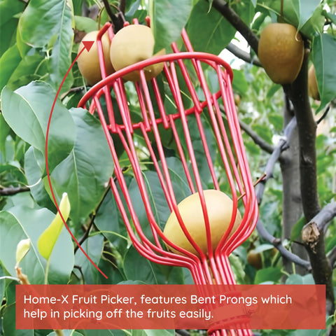 Home-X Fruit Picker Basket compact storage for easy organizing after use.