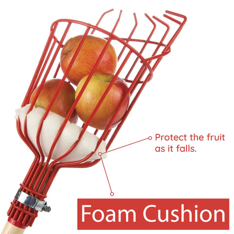 Home-X Fruit Picker Basket attaches to standard poles for versatile harvesting.