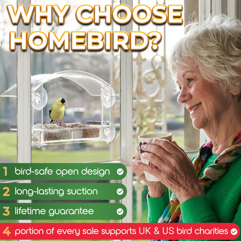 Homebird window feeder attracts birds visiting from outside.