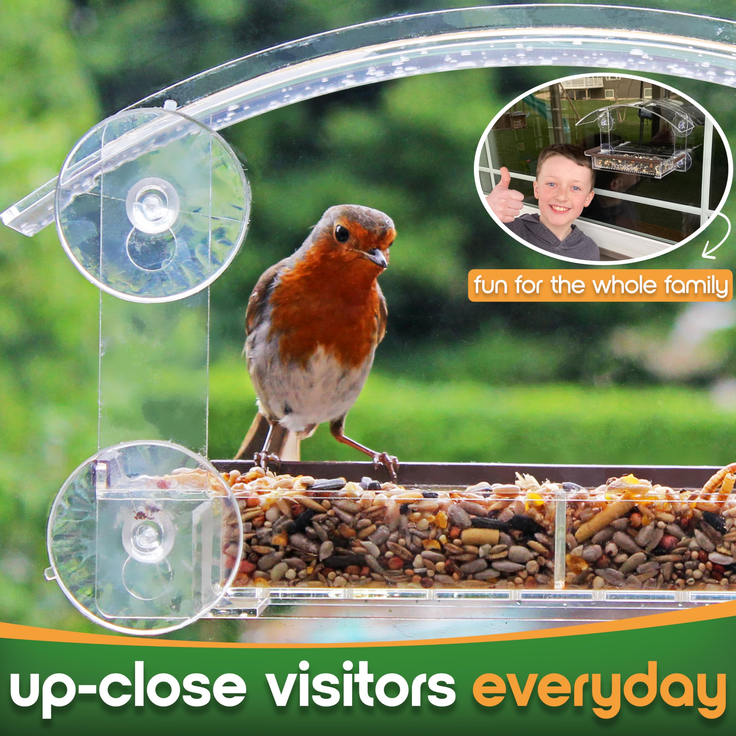 Homebird window feeder removable tray enables quick refills.