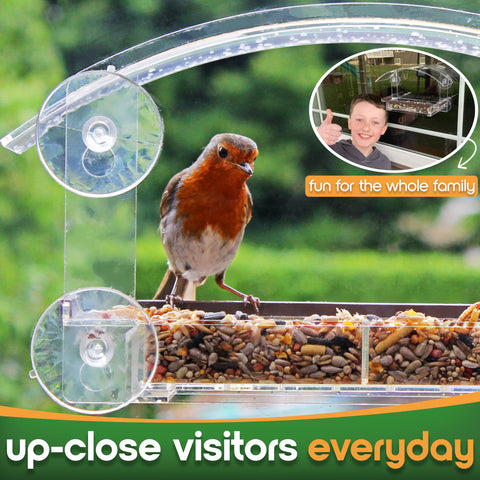 Homebird window feeder removable tray enables quick refills.