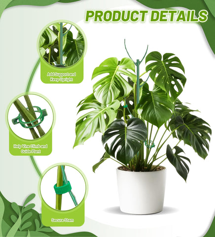 HOMEBROS green stake blends with soil to keep plants upright.