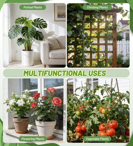 HOMEBROS versatile plant support for indoor and outdoor climbers.