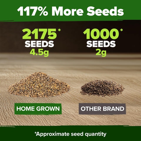 Close-up of HOME GROWN arugula seeds highlighting high germination potential