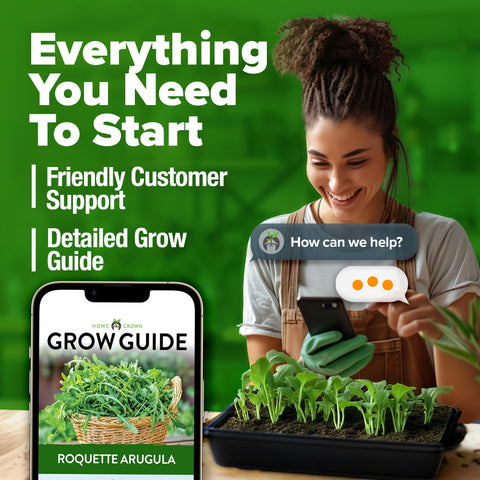 HOME GROWN arugula seeds used in salads, pesto, and wraps
