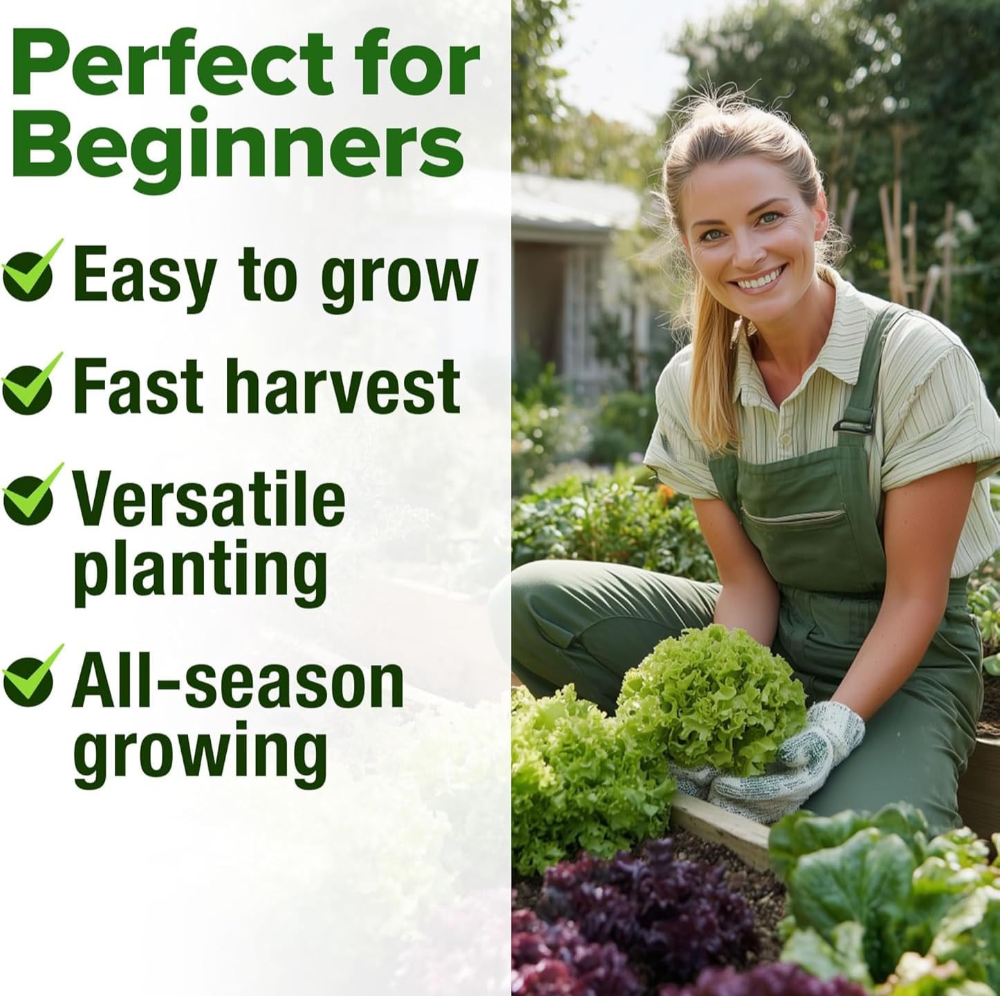 HOME GROWN Bloomsdale spinach seeds for baby greens and cooking greens