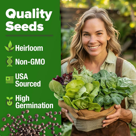 HOME GROWN buttercrunch lettuce seeds for tender, flavorful homegrown salads