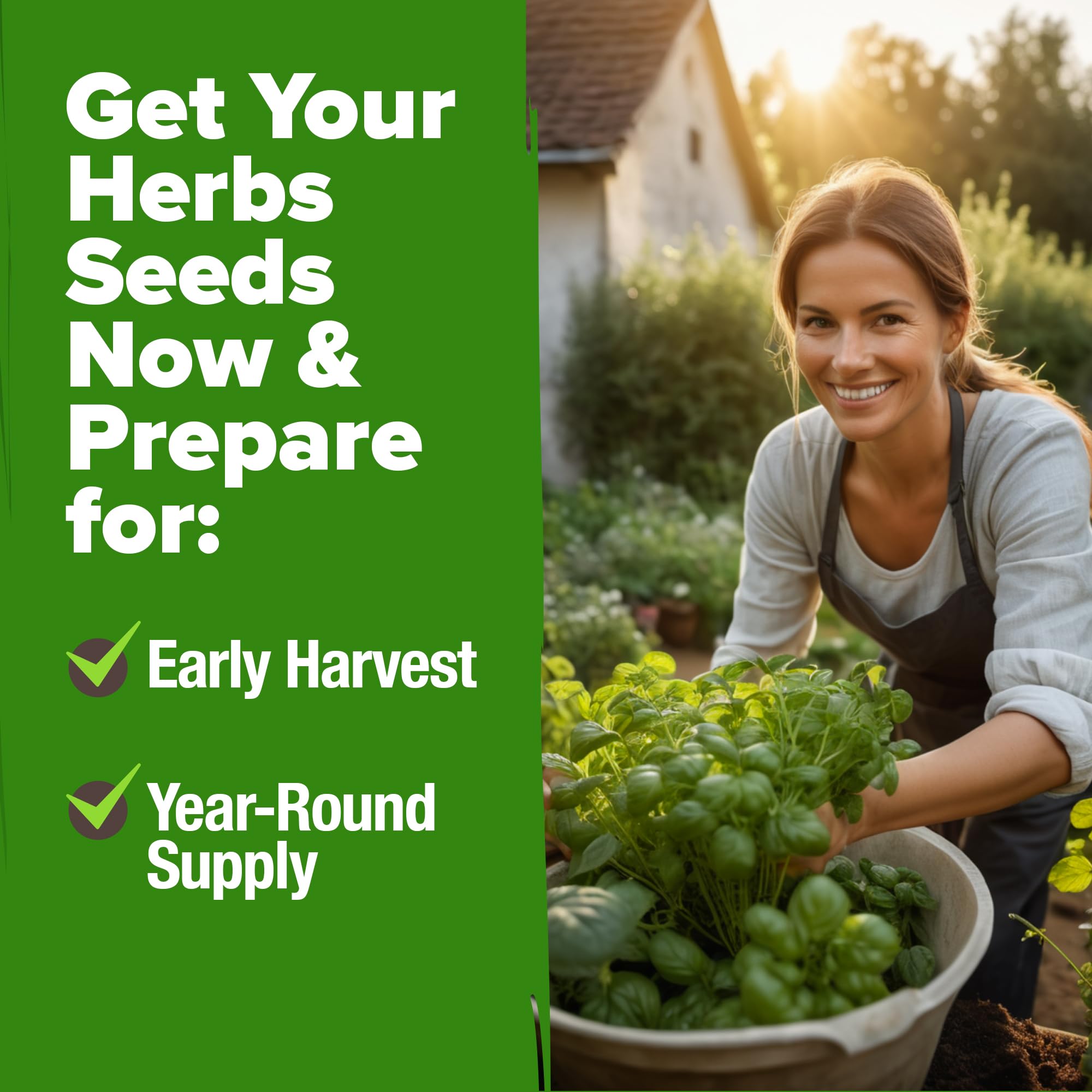 HOME GROWN complete chefs garden 10-pack to elevate homemade meals.