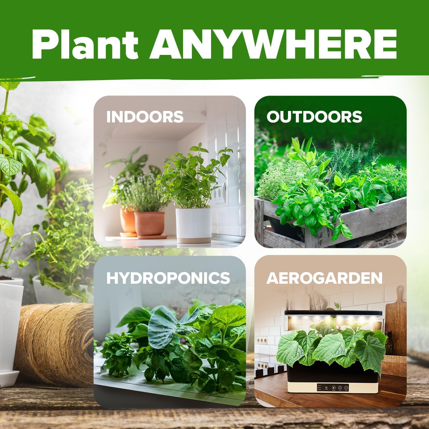 HOME GROWN Digital Grow Guide access supports confident starting