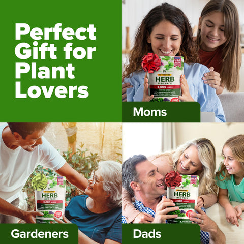 HOME GROWN hydroponic ready seeds for indoor or outdoor herb gardens.