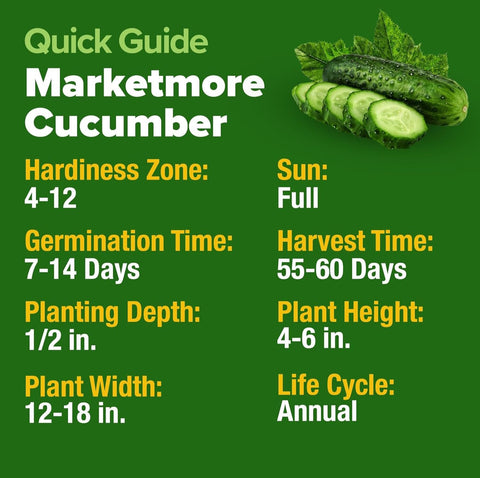 HOME GROWN Marketmore in a raised bed, versatile gardening option.