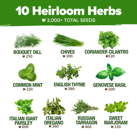 HOME GROWN non-GMO heirloom seeds preserving authentic flavors for cooking.