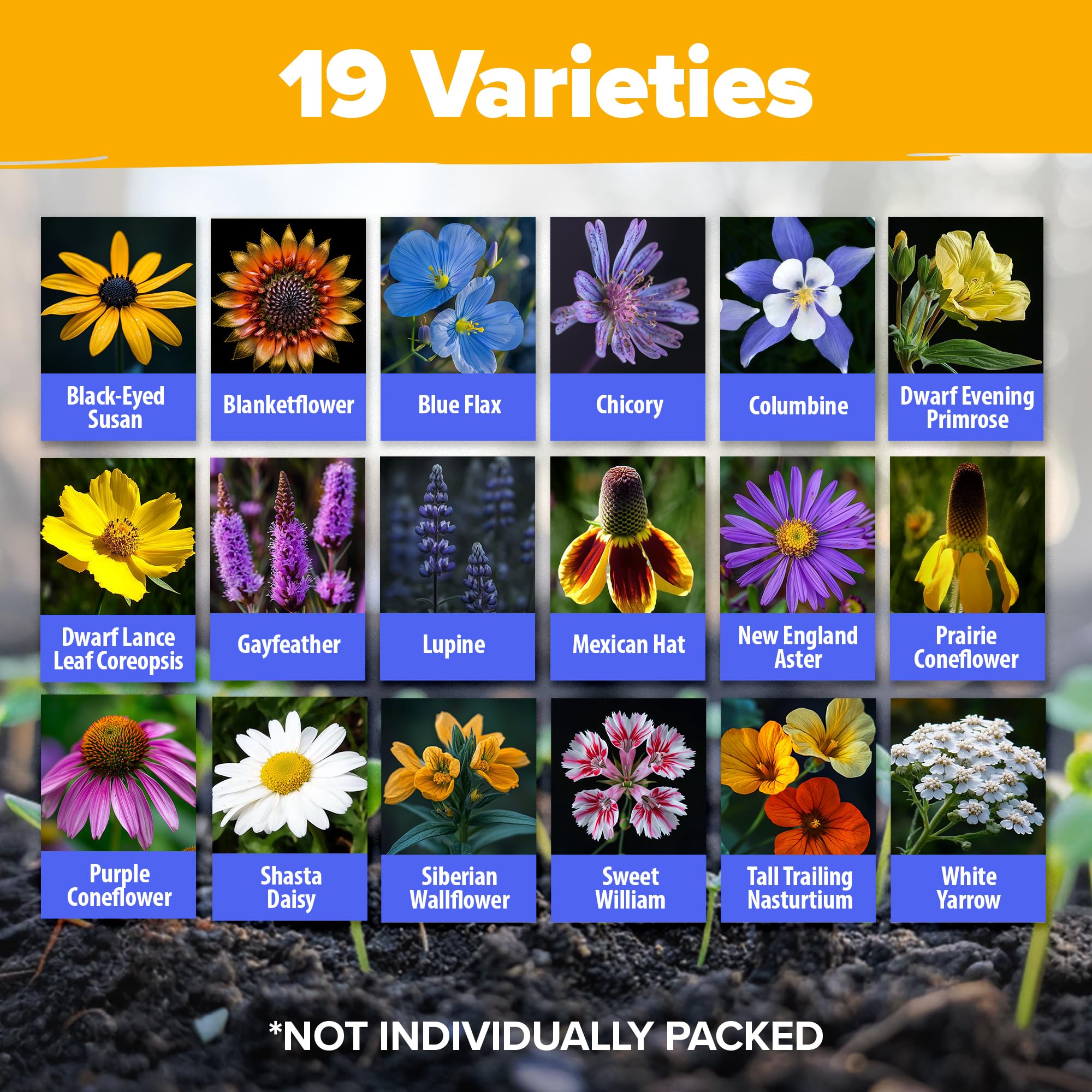 HOME GROWN Non-GMO seeds support natural outdoor planting and biodiversity