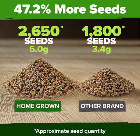 HOME GROWN Italian Oregano seed packet for savory, chef-inspired dishes
