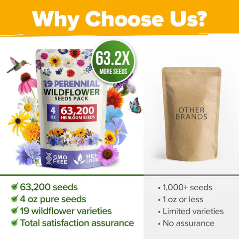HOME GROWN seasonal display shows spring to fall blooms across your garden
