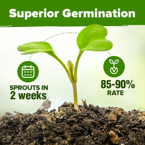 HOME GROWN versatile growing options suitable for hydroponics, windowsills, and containers.