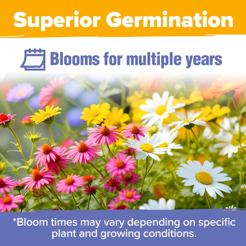HOME GROWN 19-variety mix provides continuous color and diverse pollinator habitat