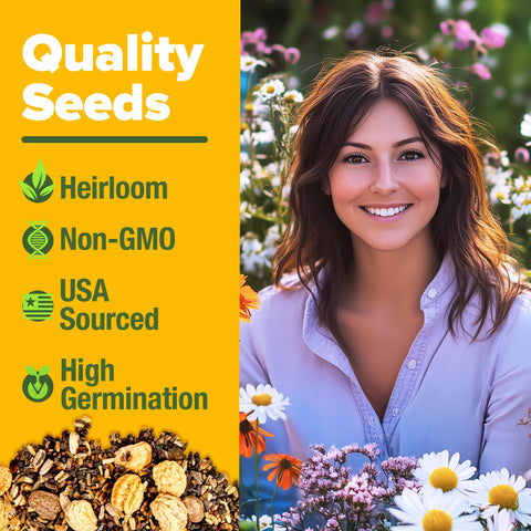 HOME GROWN bulk 60,000+ seeds for meadow or cottage garden