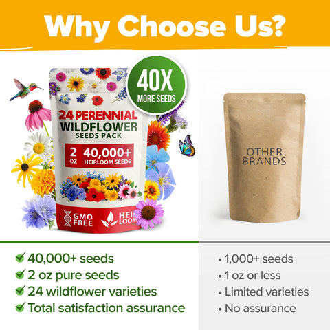HOME GROWN easy-to-grow seeds with clear germination guidance