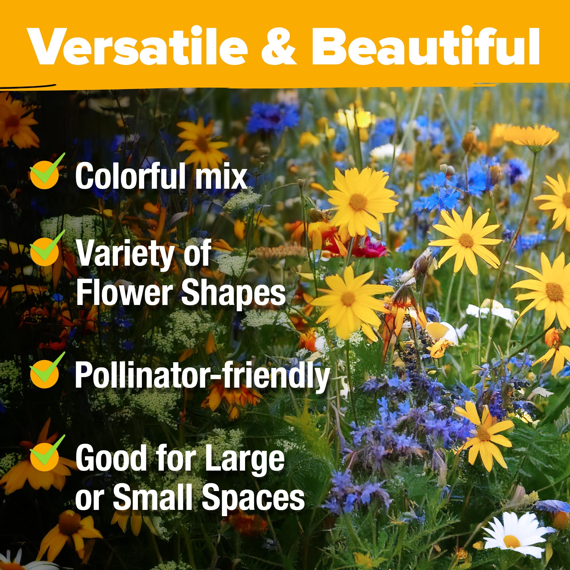 HOME GROWN attracts bees, butterflies, and birds for vibrant pollinator habitat