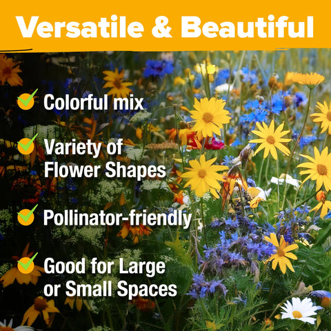 HOME GROWN attracts bees, butterflies, and birds for vibrant pollinator habitat