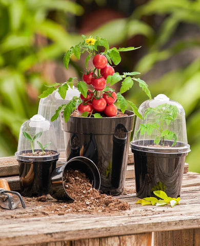 homenote 15-pack planter pots with lids and labels