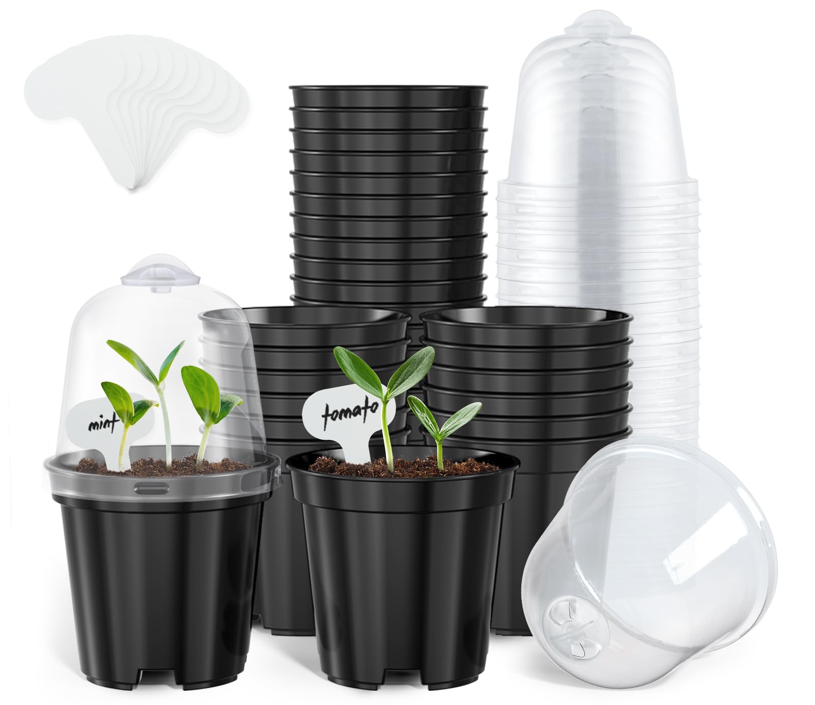 homenote 3-inch seedling pot with humidity dome for moisture control