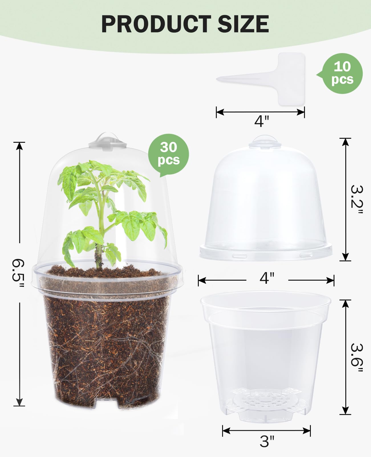 Homenote 4-inch clear nursery pot top view shows soil profile.