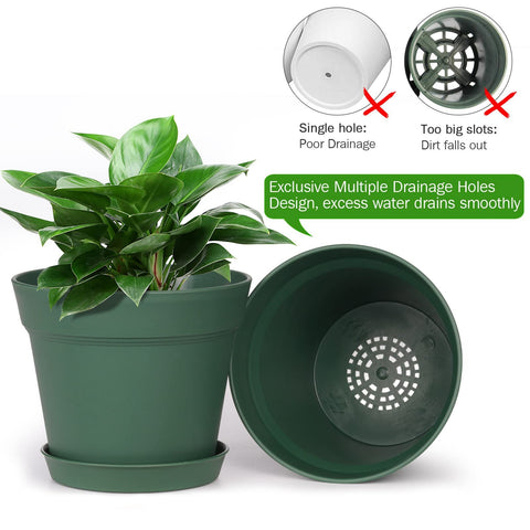 Homenote 6-inch pots ideal for herbs and succulents