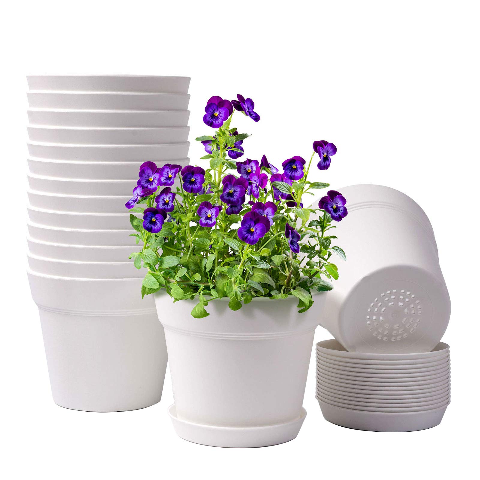 Homenote 6-inch pot with drainage holes for healthy watering.