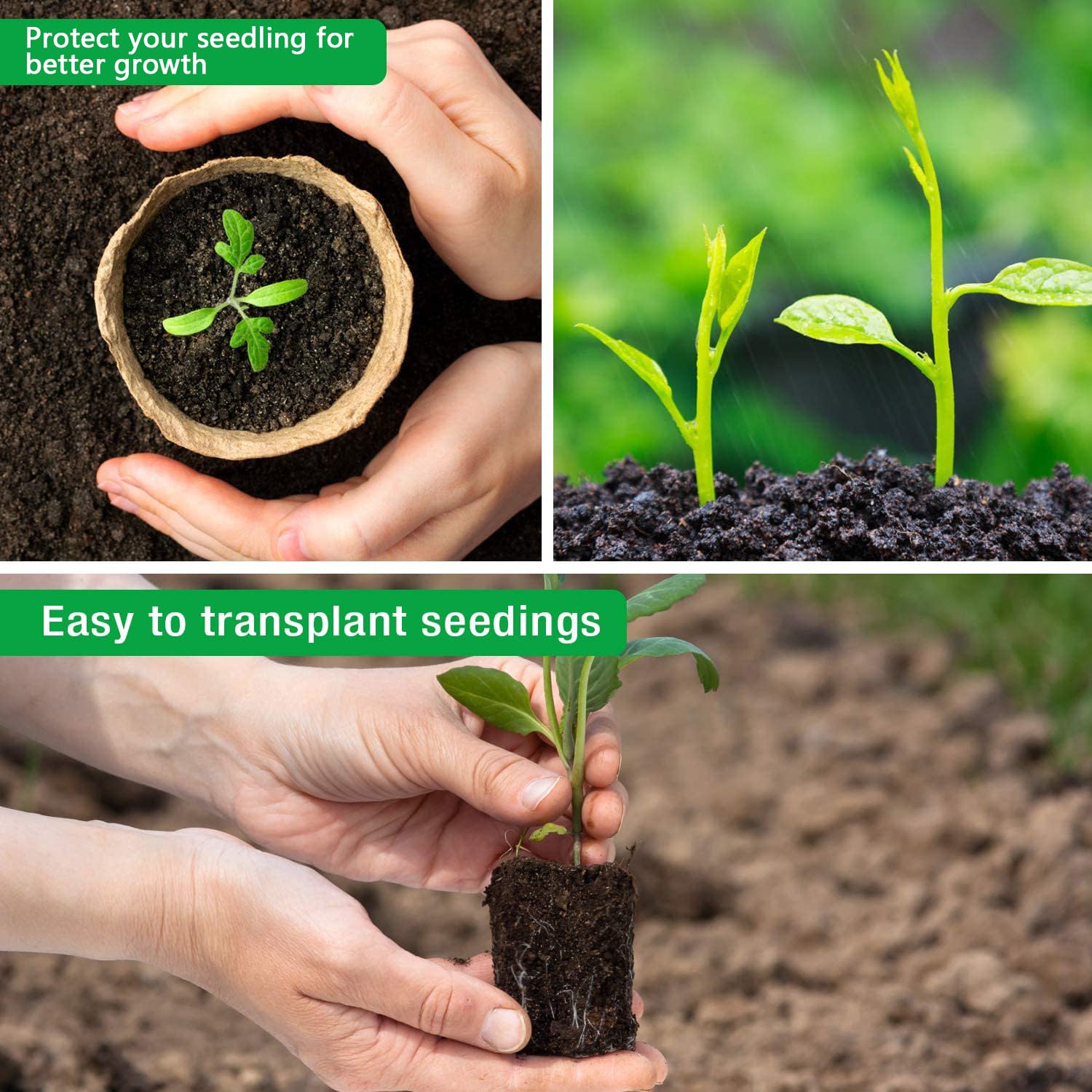 Homenote bonus plant labels included for organized seedling planning.