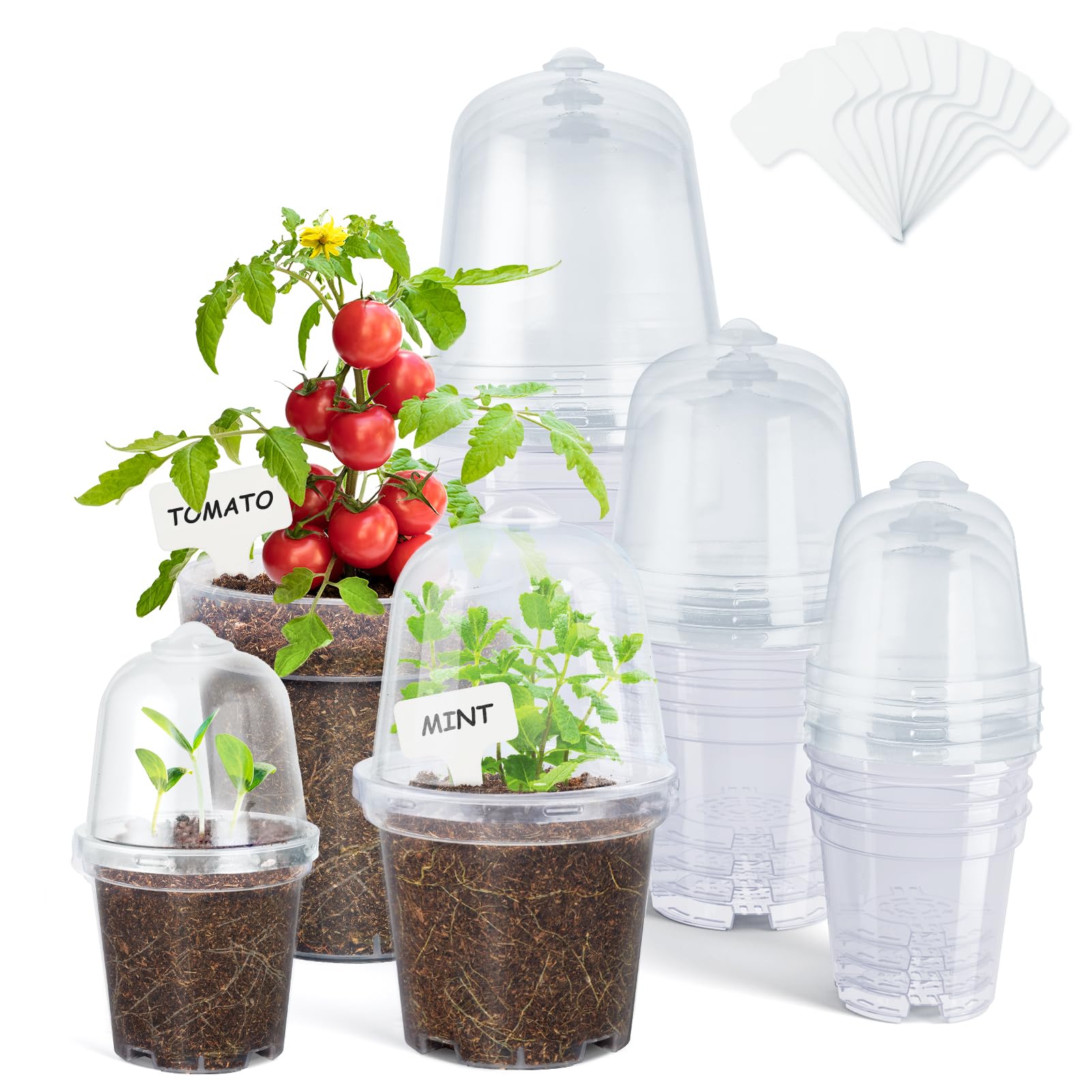 Homenote clear nursery pot with lid shows 3-inch soil moisture at a glance.