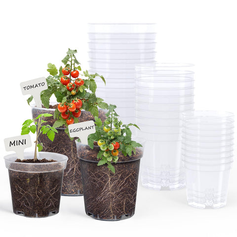 Homenote clear nursery pot 4-inch for easy root monitoring