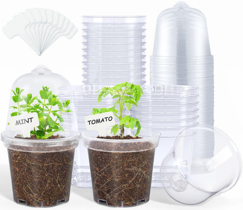 Homenote clear 4-inch nursery pot with lid for easy moisture monitoring.