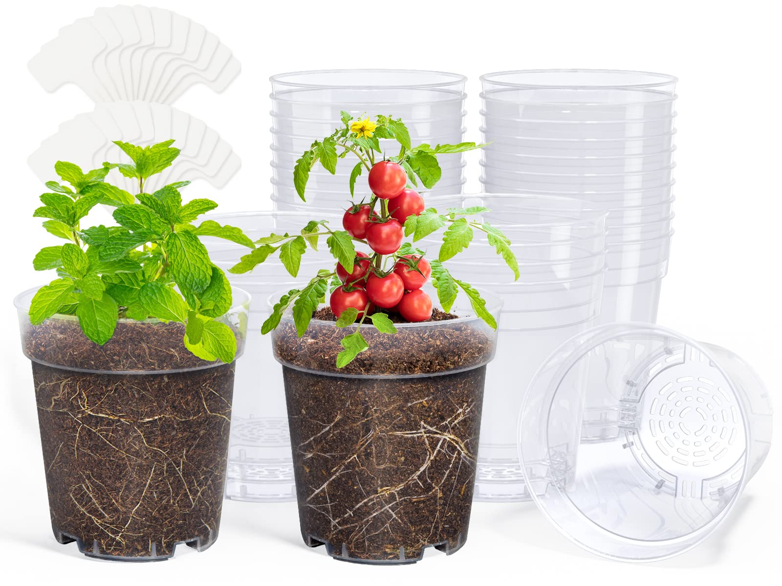 homenote clear nursery pot 5inch top view for easy moisture check