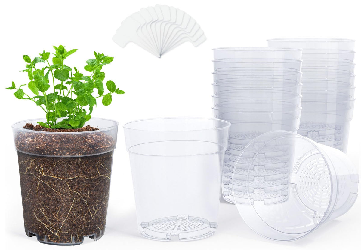 Homenote clear nursery pot with a 6.7-inch top opening for moisture monitoring.