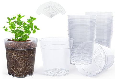 Homenote clear nursery pot with a 6.7-inch top opening for moisture monitoring.