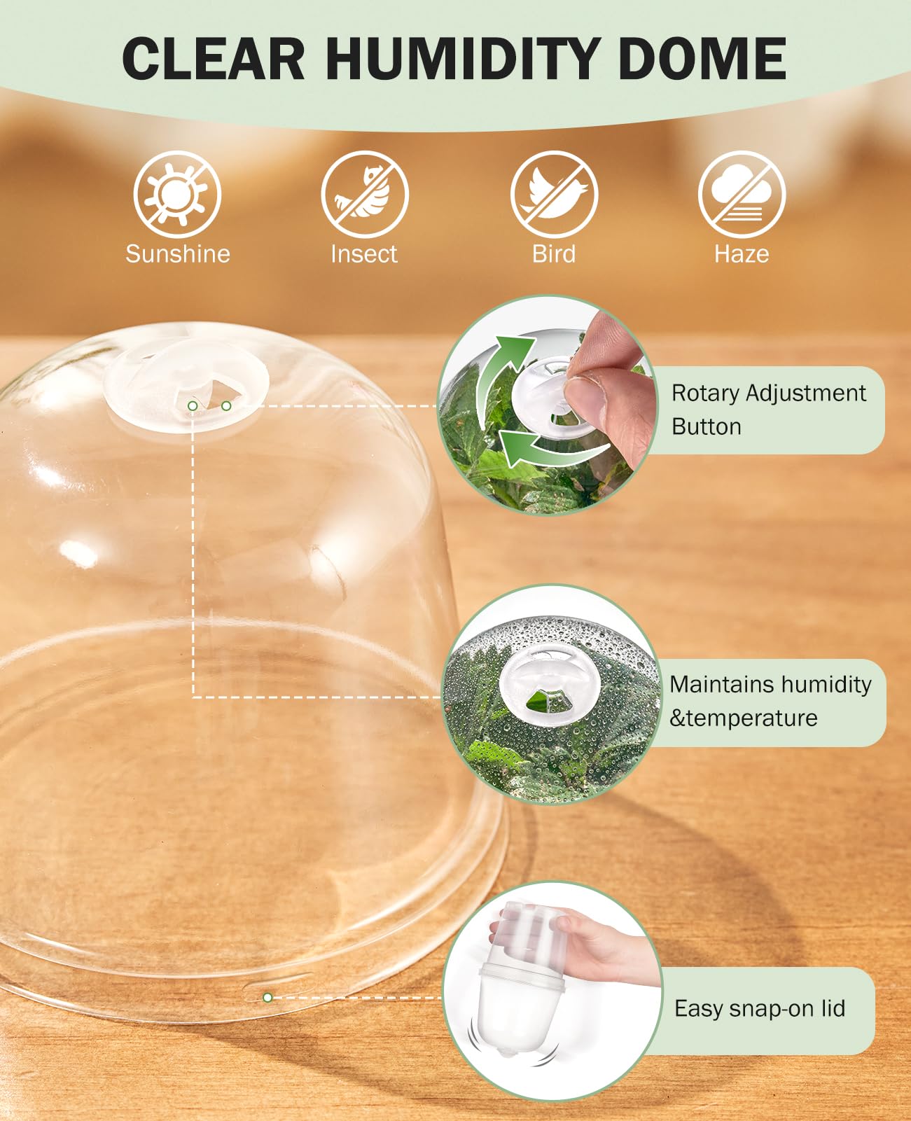 Homenote clear nursery pot top view reveals soil moisture at a glance.