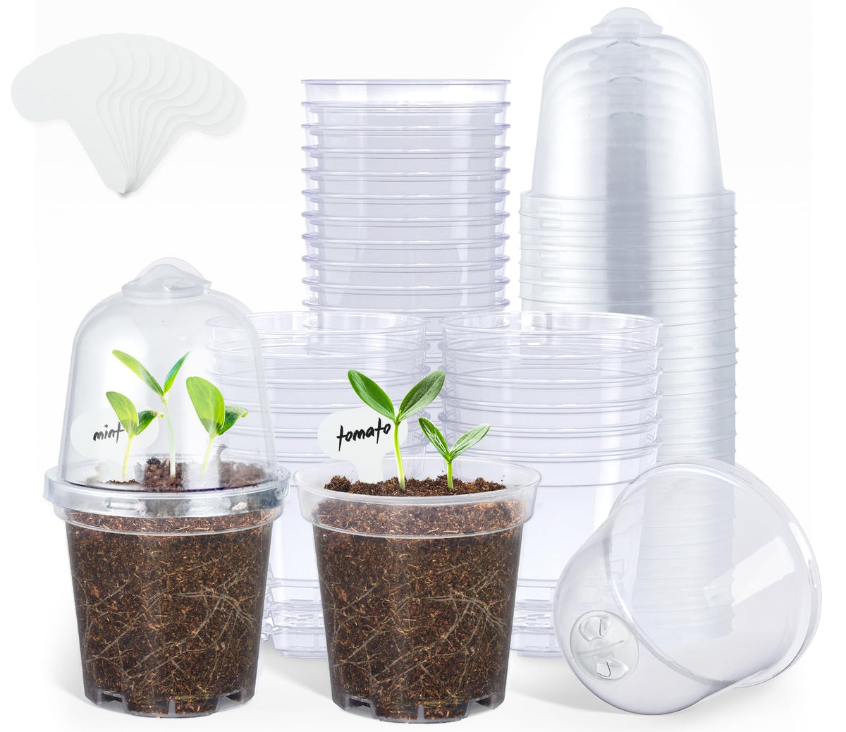 homenote clear nursery pot with lid for easy seedling observation and moisture checks